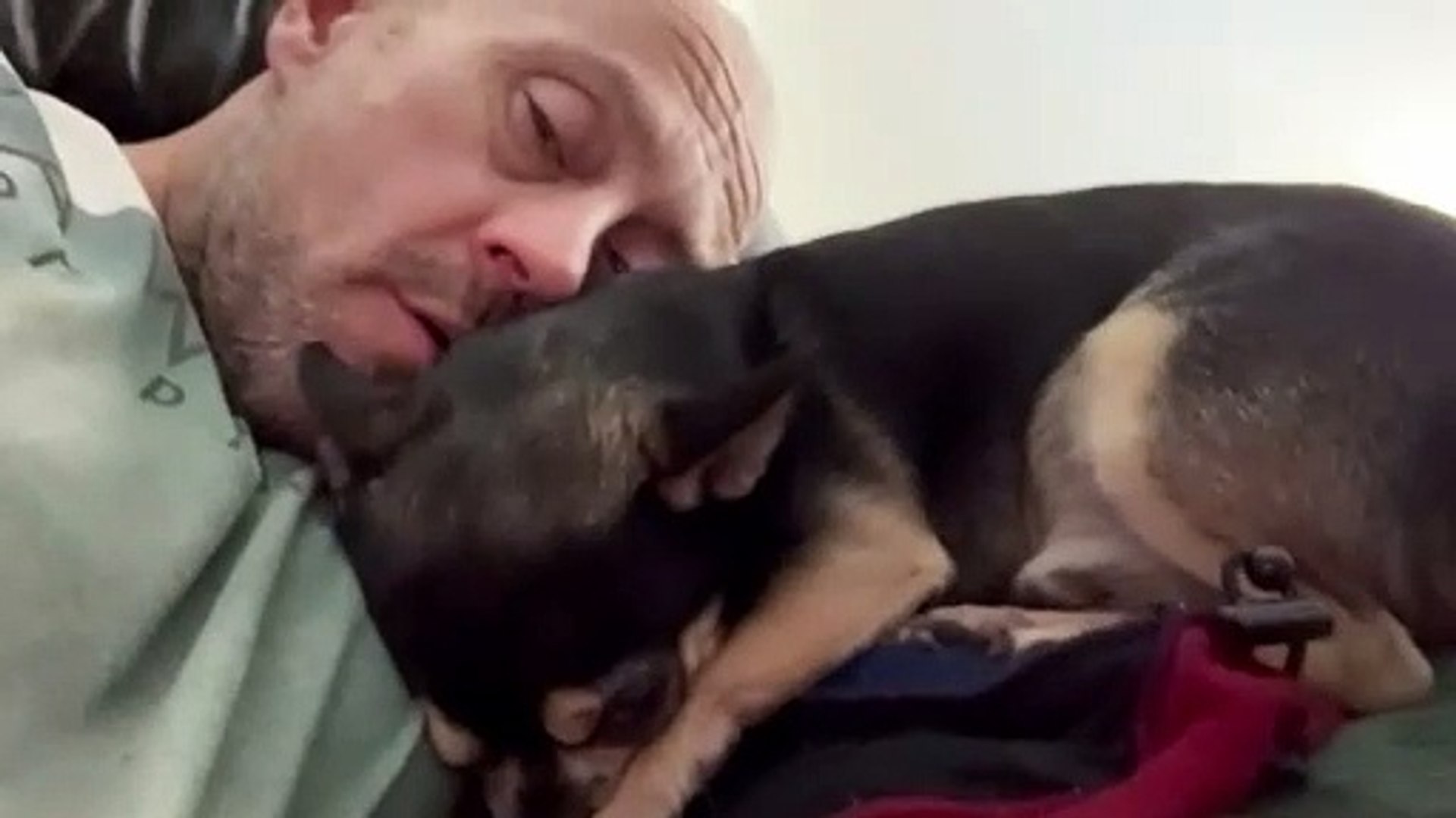 Kev back home in Thurso with Louis the chihuahua