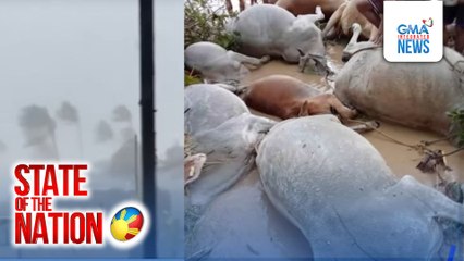 Bagyong Pepito, hinagupit ang Northern at Central Luzon | SONA