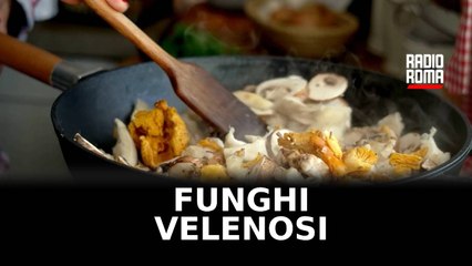 Pranzo a base di funghi velenosi, muore donna nel viterbese