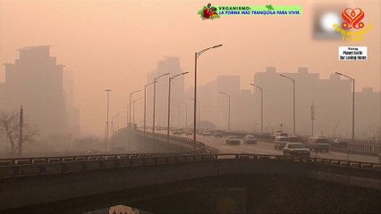The Hazardous Effects of Air Pollution on People Around the World, Part 2 of 2