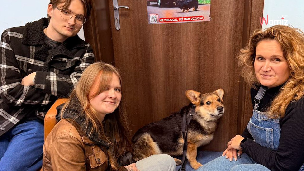 Arnold 13 lat spędził za kratami w schronisku. Siła Internetu sprawiła, że znalazł dom!