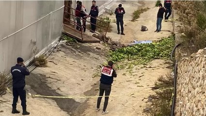 Antalya’da muz serasında iş kazası  2 ölü, 2 yaralı