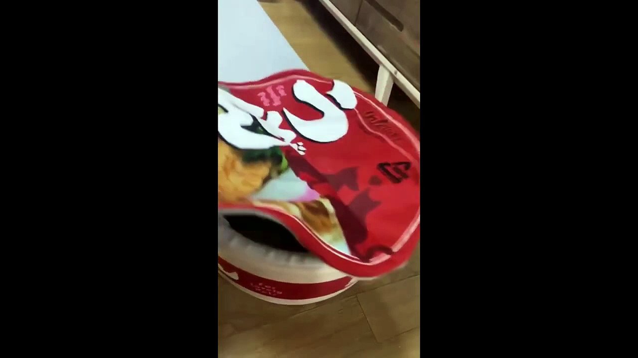 FUNNY CUTE CATS COMPILATION OF 2024 V5 TOP 100 FUNNY CATS CUTE AND FUNNY CATS  COMPILATION