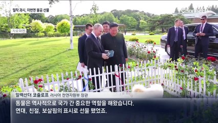 푸틴, 北에 사자·불곰 등 70여 마리 선물