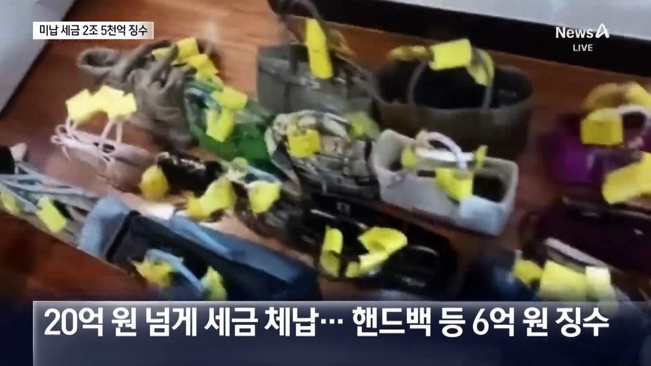 문 뜯자 흉기 들고 위협…고액 체납자 강제징수
