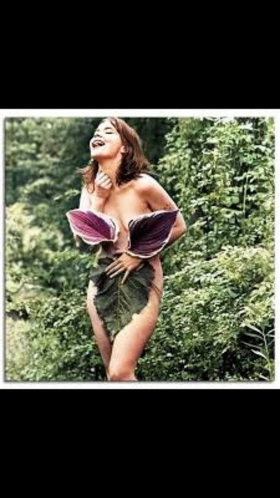 Celebrate Birthdays November 21st  2024 Björk