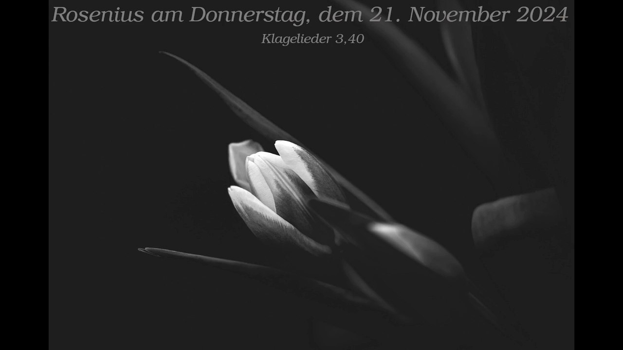 Rosenius am Donnerstag, dem 21. November 2024 zu Klagelieder 3,40