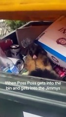 Drunk Poss