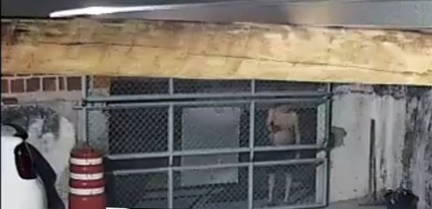 Advogado em surto ameaça socorristas em cidade baiana