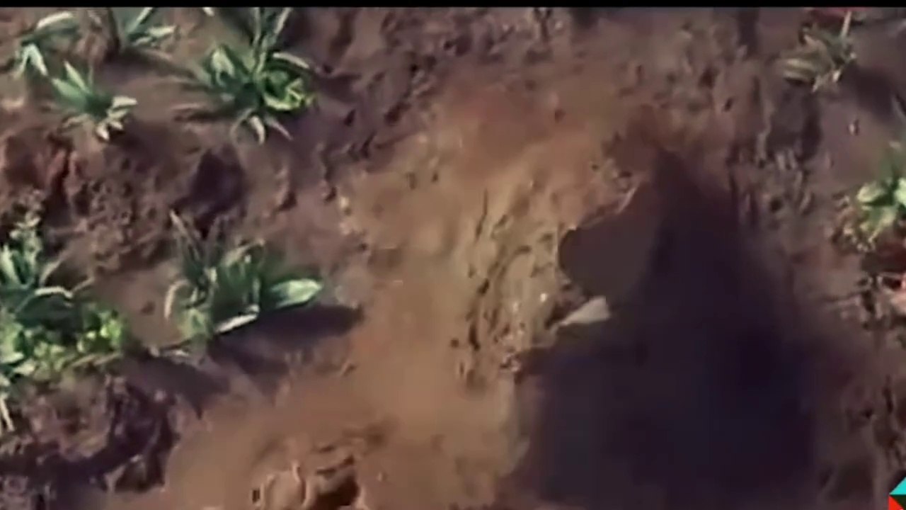 The Story of Hazrat Adam (AS) and the Angel of Death | Mout Ka Farishta Kaise Aya? | Ya Alqaim Tv