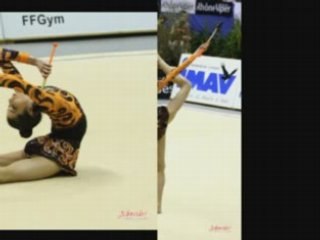 Coupes nationales 2008