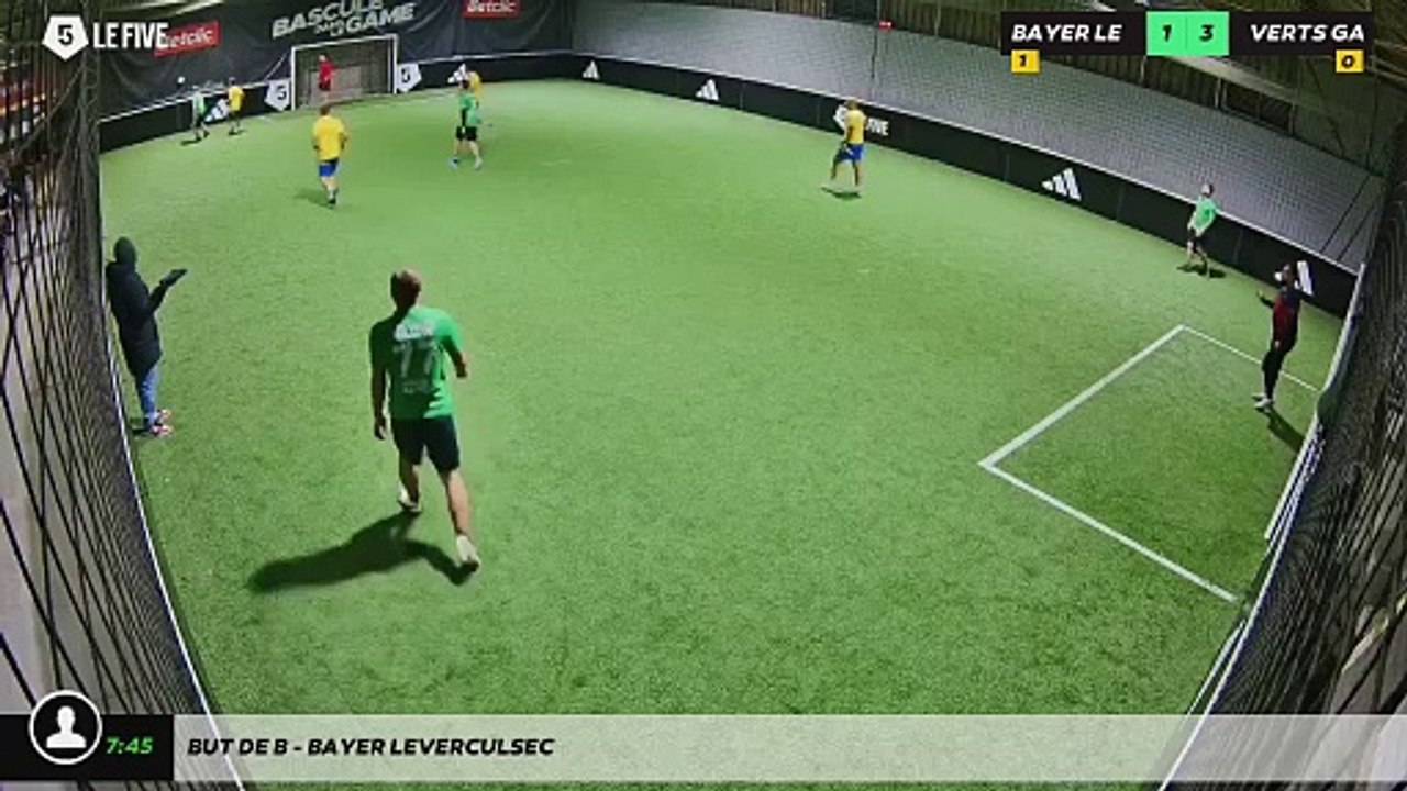But de B - BAYER LEVERCULSEC