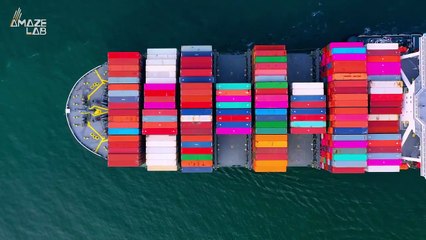 Our Holiday Online Shopping Could Be To Blame for Whale Deaths in the Atlantic?