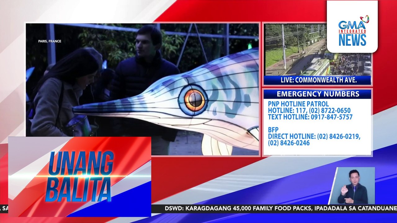 Iba't ibang dinosaur, primitive birds, at higanteng sea creatures, tampok sa Jurassic period light display | Unang Balita