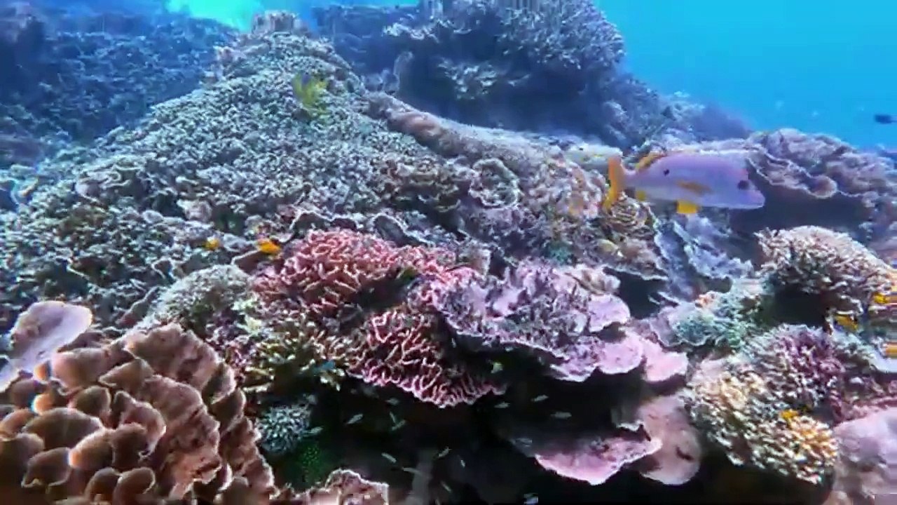 BEST PLACE TO DIVE2