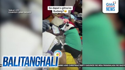 Asong si Budang, nag-siyesta sa gitna ng mga tinutuping damit | Balitanghali