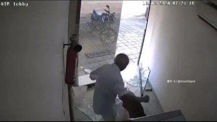 [나우쇼츠] 급전 필요한 멧돼지? 은행 돌진에 유리창 '와장창' / YTN