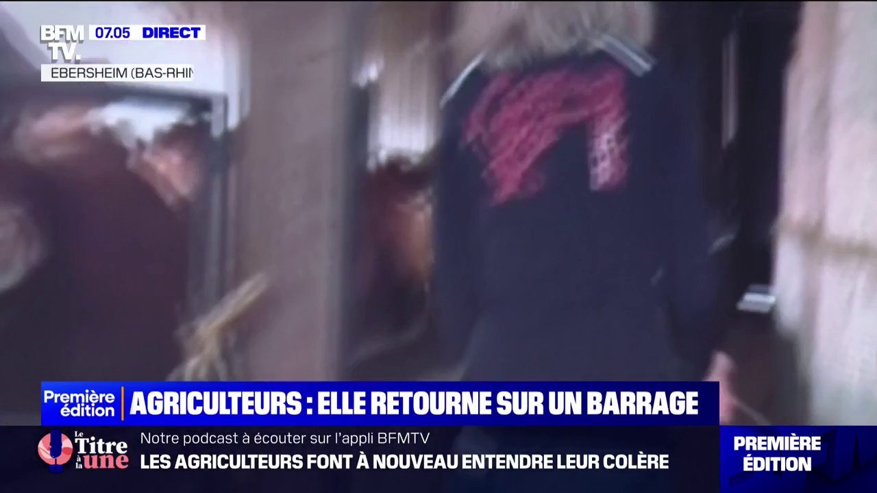 "Pour moi, rien ou pas grand-chose n'a changé": moins d'un an après les premières manifestations, cette agricultrice se mobilise à nouveau