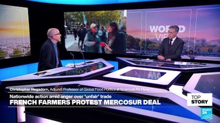 'Bigger picture': EU-Mercosur trade deal would 'open door for a lot of French agricultural exports'