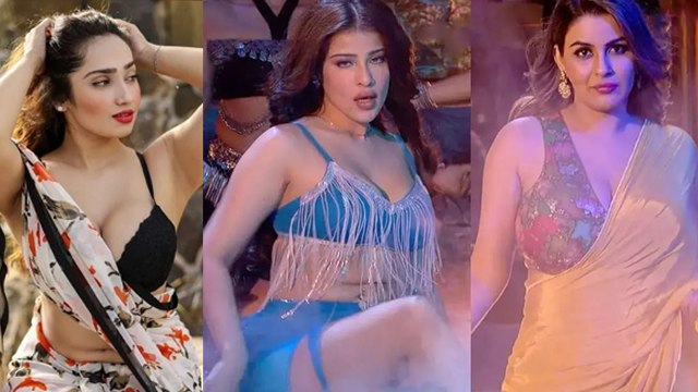 Bigg Boss 18 Wild Card Contestant Aditi Mistry, Edin Rose & Yamini Malhotra Life Story, Net Worth