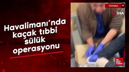 İstanbul Havalimanı'nda 8 kilo tıbbi sülük ele geçirildi