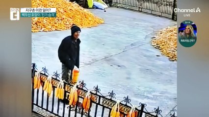 눈 부릅뜨고 법안 찢었다…마오리족 의원 ‘하카 공연’