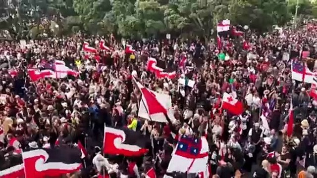 Thousands protest proposed changes to interpretation of New Zealand treaty