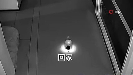 Teknoloji’de daha neler göreceğiz! Robot firmasında robotlar iş bırakma eylemi yaptı