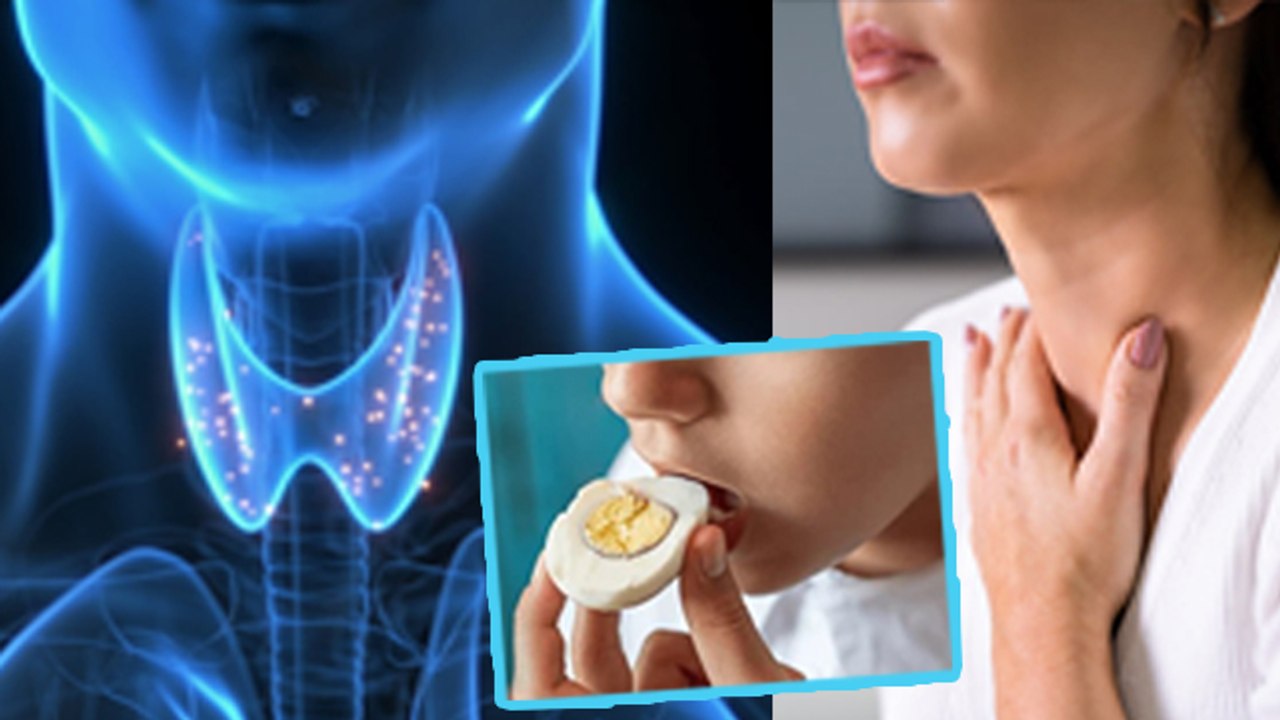 Egg For Thyroid Patients: Thyroid Me Ande Khane Se Kya Hota Hai, Thyroid Me Roj Ande Khane Ke Fayde