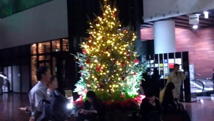 富国生命ビルのクリスマスツリー2024