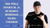 Tak Lagi Pusing Cari Gulma, AS Mulai Gunakan AI untuk Membunuh Penyakit Tanaman