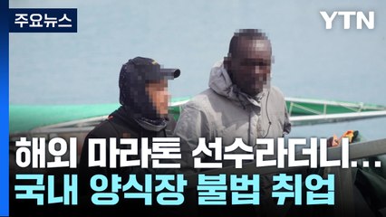 마라톤 대회 비자로 입국...양식장 불법 취업 / YTN