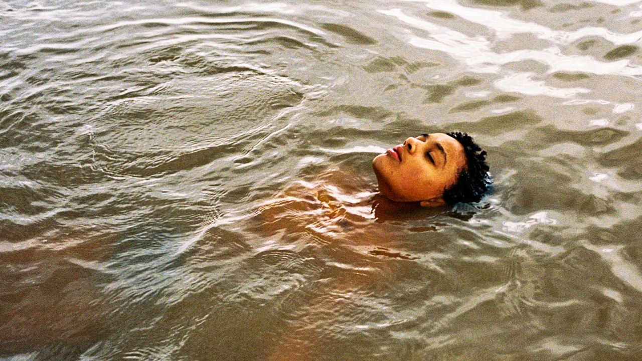 Bird - Trailer (Deutsche UT) HD