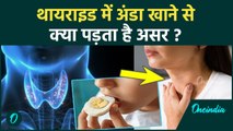 Egg For Thyroid Patients: Thyroid में अंडा खाने से क्या होता है? ये गलती आप कतई न करें!