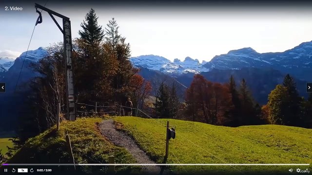 Stax English Free Lesson: The Benefits of Trees