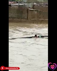 Swimming in Flood Water