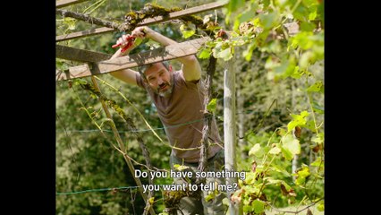 Endless Summer Syndrome 🎬 Official HD Trailer - Discover the New Blockbuster