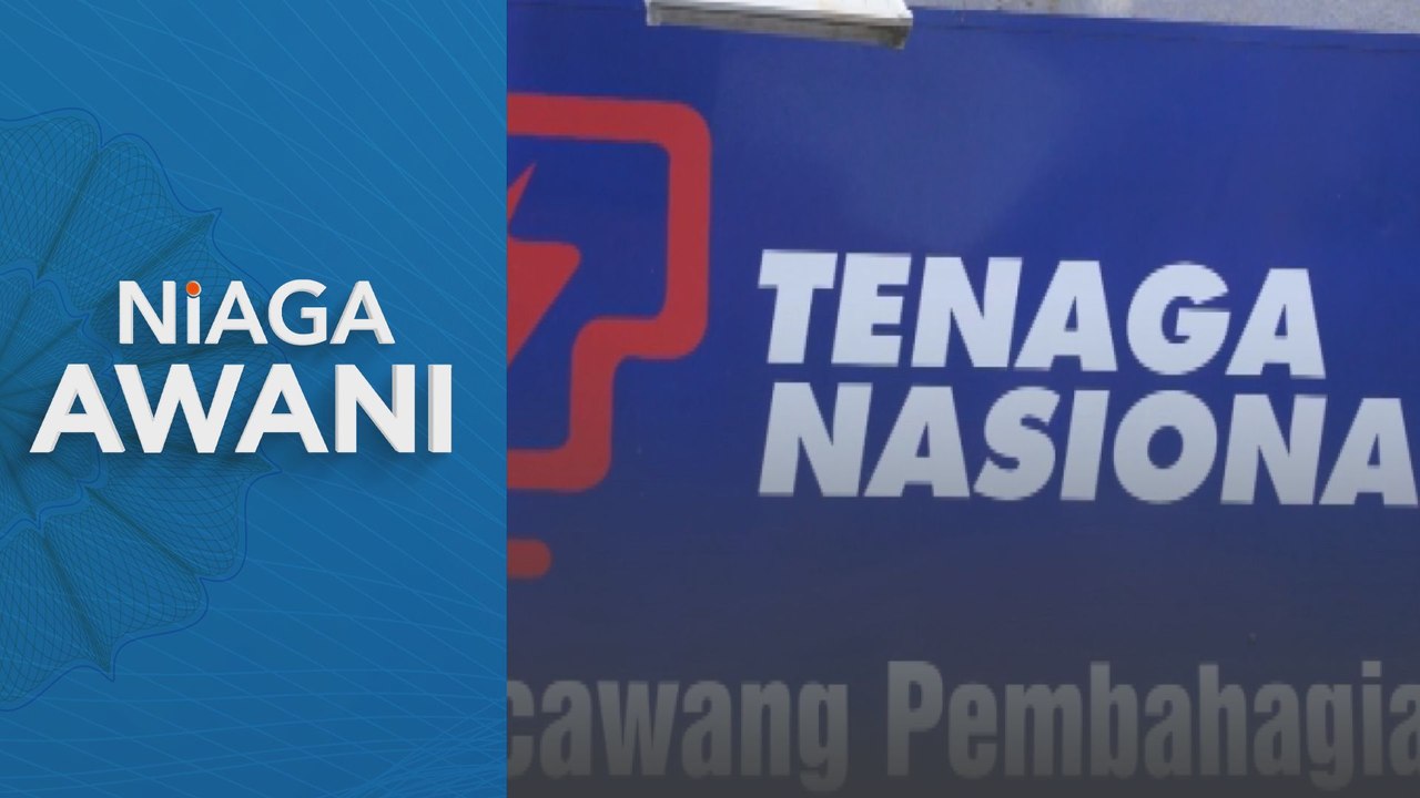 COP29: TNB komited sokong matlamat peralihan tenaga Malaysia