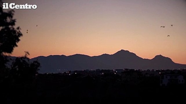 Image from field_mediaid