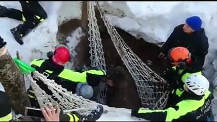 Teramo, salvato un cavallo sprofondato nella neve