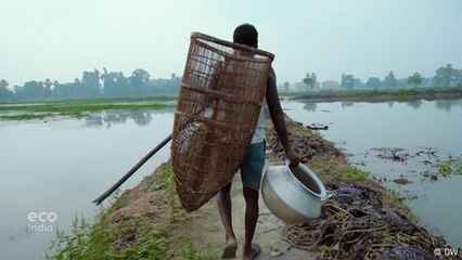 How fox nuts might help keep Bihar farmers afloat in monsoon