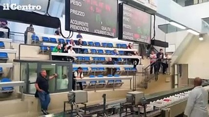 La prima asta del pesce dopo due anni