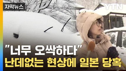 [자막뉴스] 69cm 폭설이 '펑펑'...더위 몰아치더니 이례적 현상 '기습' / YTN