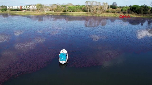 Terkos Gölü'nde görsel şölen