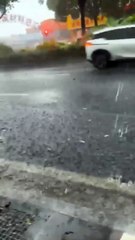 Cat Shivering After Getting Wet in the Rain #shorts