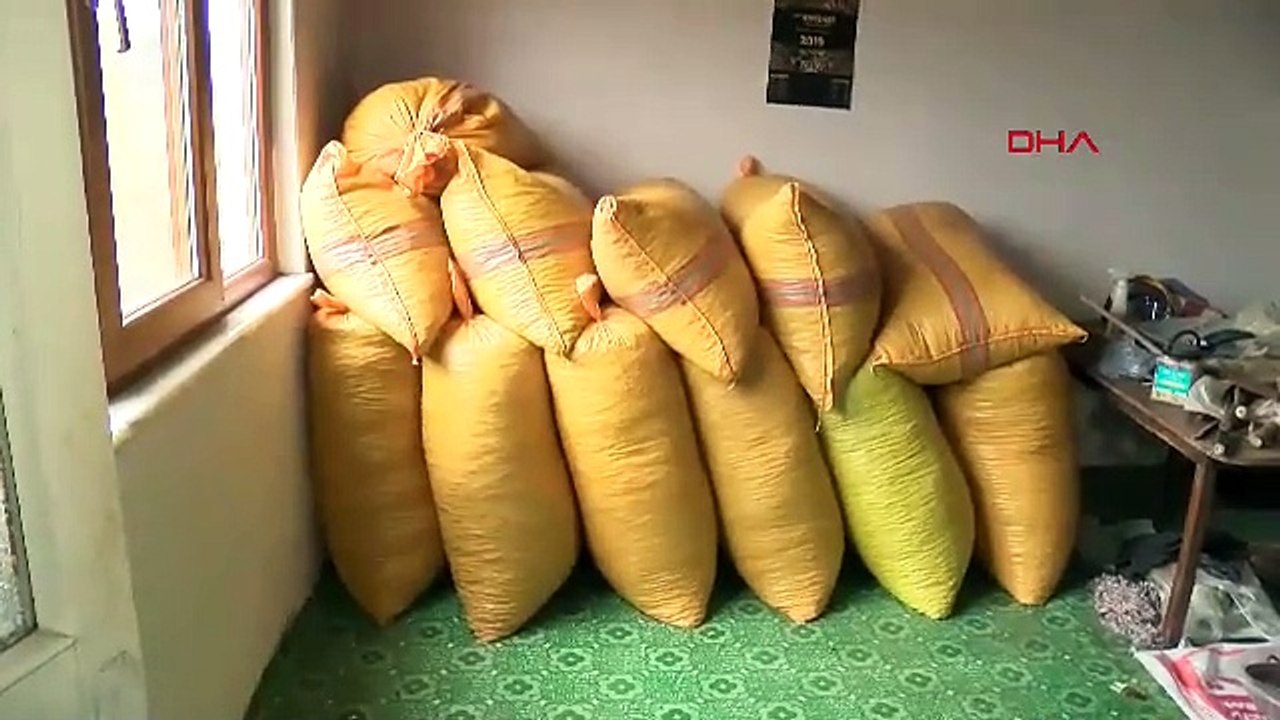 Türkiye'nin şifa deposu zenginliği pazara inemediTürkiye'nin şifa deposu zenginliği pazara inemedi