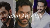 Wahaj Ali's biography /Wahaj Ali's lifestyle/About Wahaj Ali/Wahaj Ali's Life