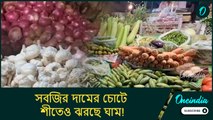 গাজর, লঙ্কার সেঞ্চুরি, সবজির দামের চোটে শীতেও ঝরছে ঘাম! বাজারে গিয়ে অবাক টাস্ক ফোর্স