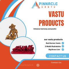 Experience Positive Change with Vastu Products by Pinnacle Vastu