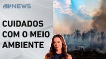 Desmatamento da Mata Atlântica cai mais de 50%; Patrícia Costa analisa